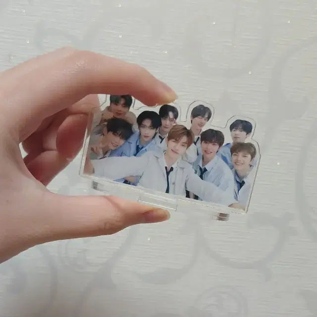 원가 이하 가격) 제베원 아크릴 스탠드 비공굿 판매 성한빈장하오한유진