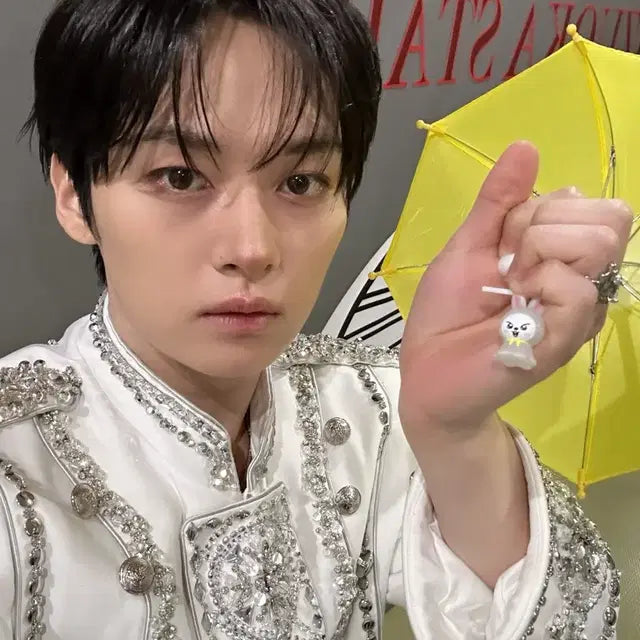 Skz 스트레이키즈 skzoo 일본 가챠 메지루시 판매합니다