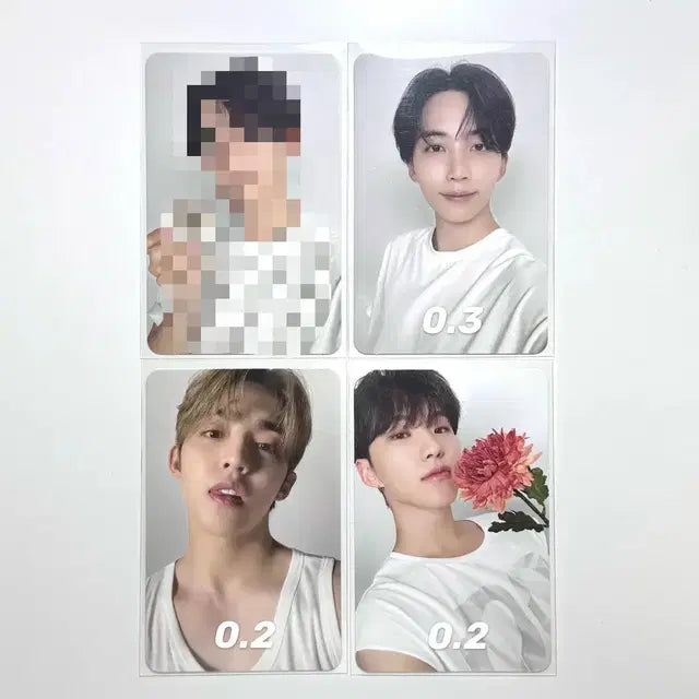 세븐틴 베스트앨범 디어버전 dear 캐럿반 포카 에스쿱스 정한 호시 양도