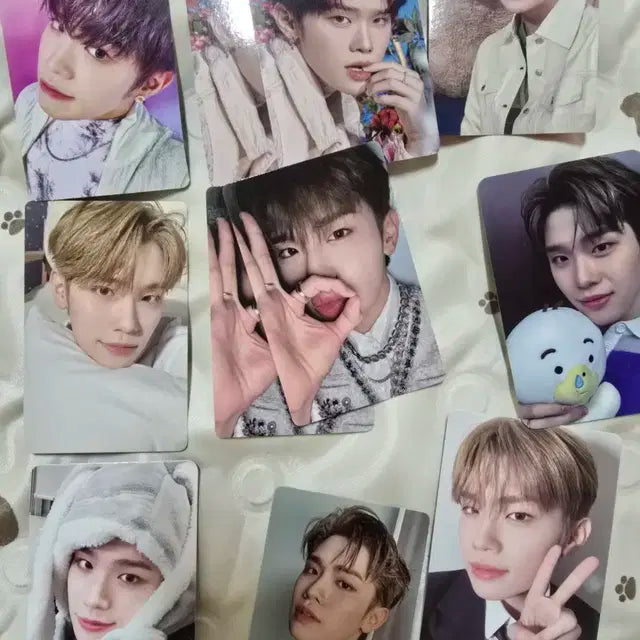 급처 태래 포카 양도