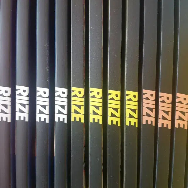 라이즈 개봉앨범 접지 사진 포카는X