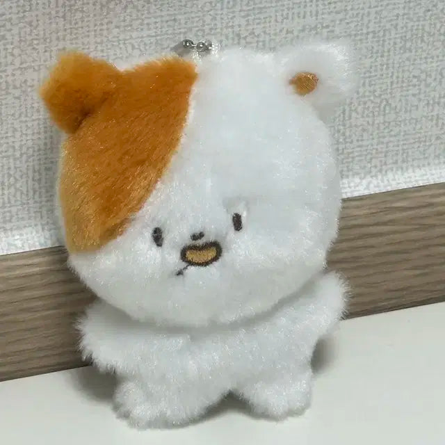엔시티드림 지성 포켓찌 양도 (단순개봉)