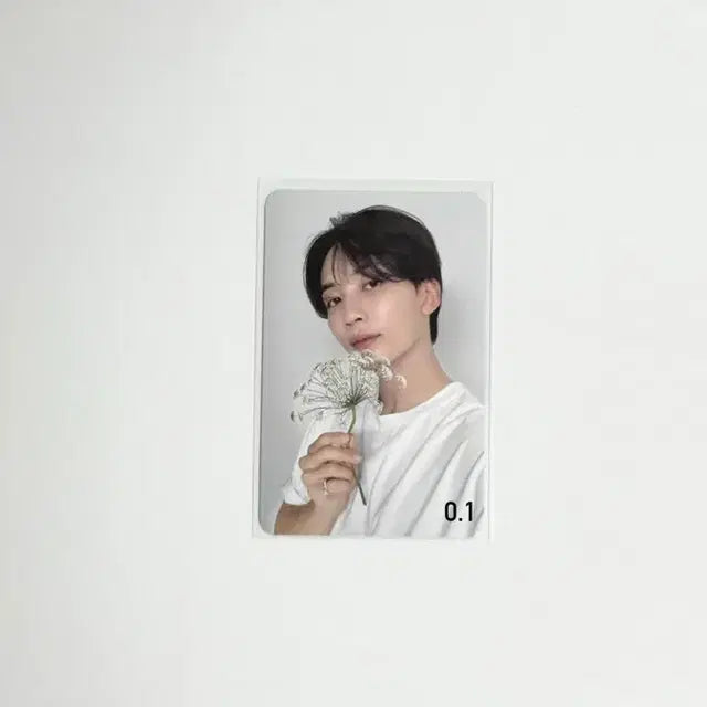 세븐틴 17 IS RIGHT HERE DEAR 정한 포카