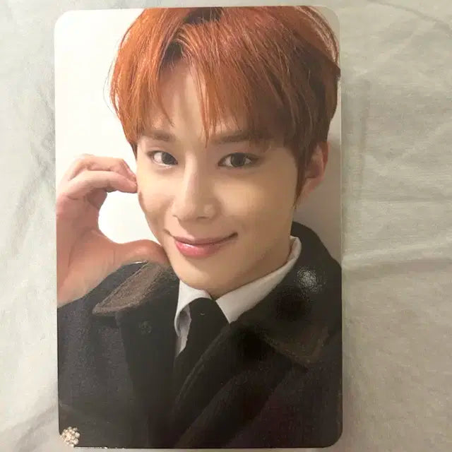 비델포미 스테레오 정우