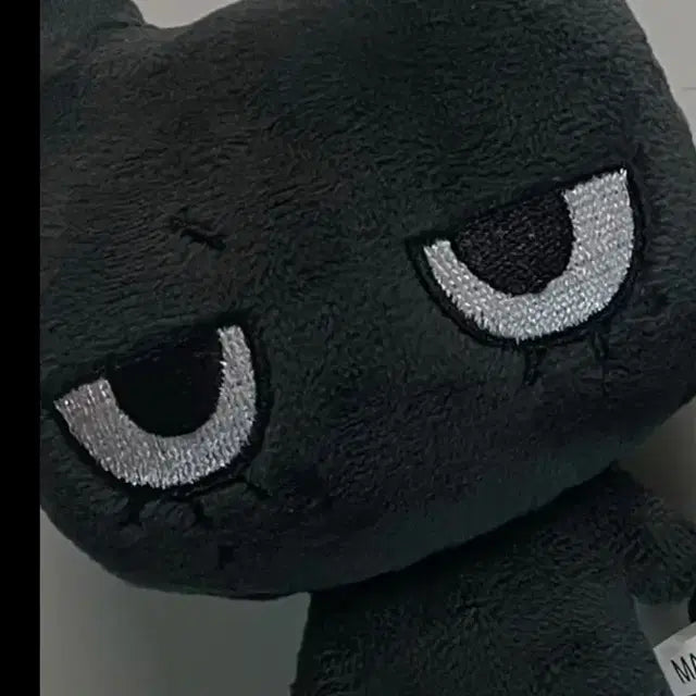 태냐코 10센치 태산 포카 보넥도 보이넥스트도어 양도