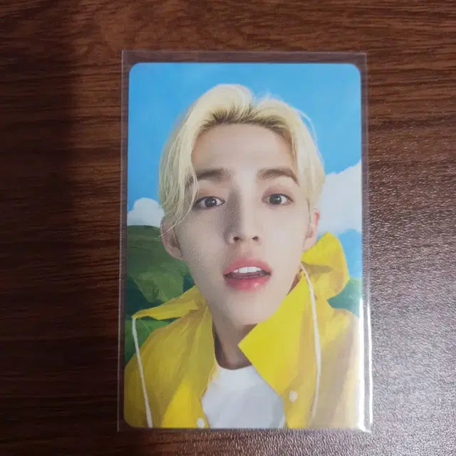 세븐틴 에스쿱스 우비 포카 급처