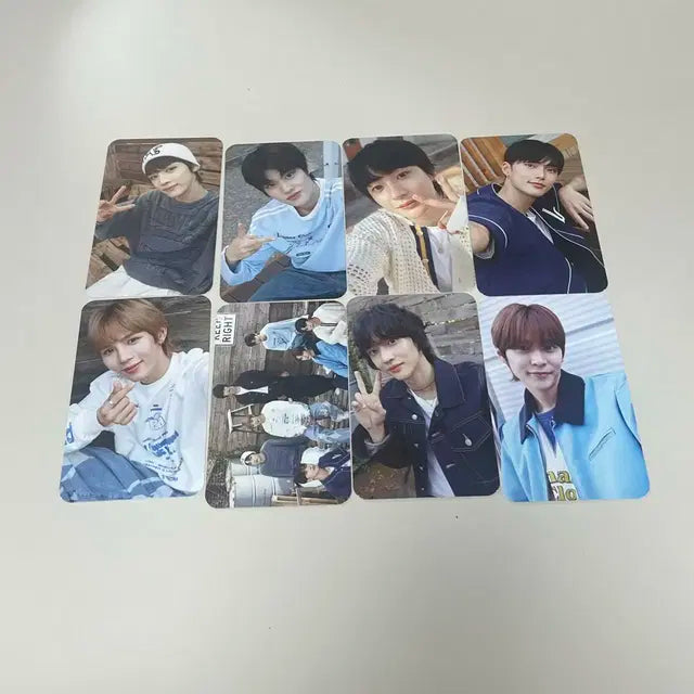 라이즈 베라 핑크 포카