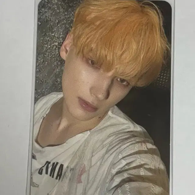 투모로우바이투게더 휴닝카이포토카드