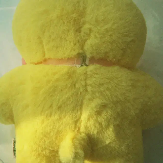 (정품) 빵빵덕 판매합니다!