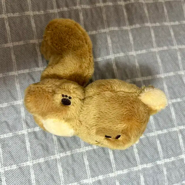 루시 최상엽 엽람쥐 팝니다(외출,목욕X) +투명포카