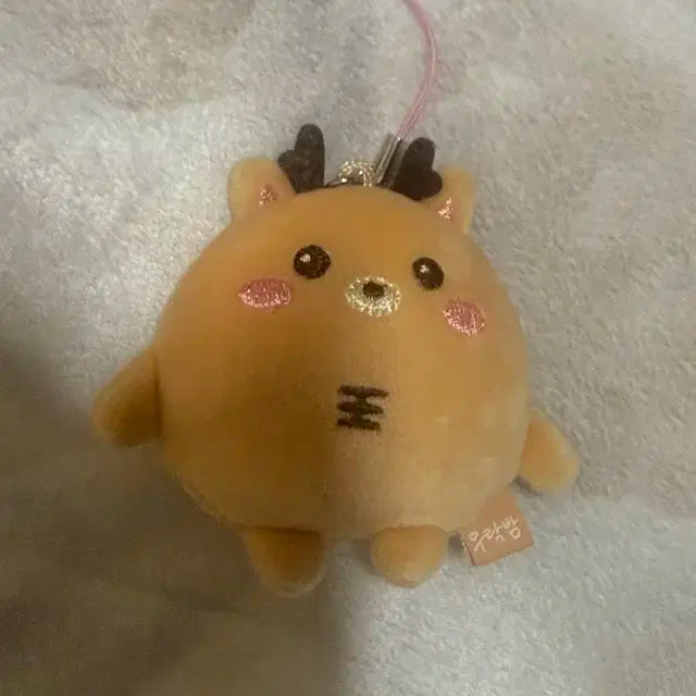 라이즈 성찬 인형양도/ 라이즈 우락밤 40/ 우락밤 숑뭉이 엔시티 꼬마즈