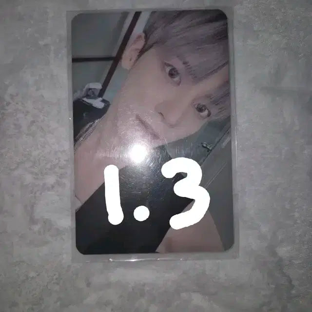 (공굿덤, 폭덤) 파오이 라자다 태현