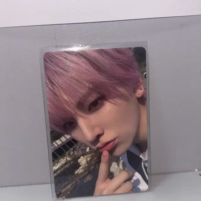 앤팀 유마 아오아라시 포카