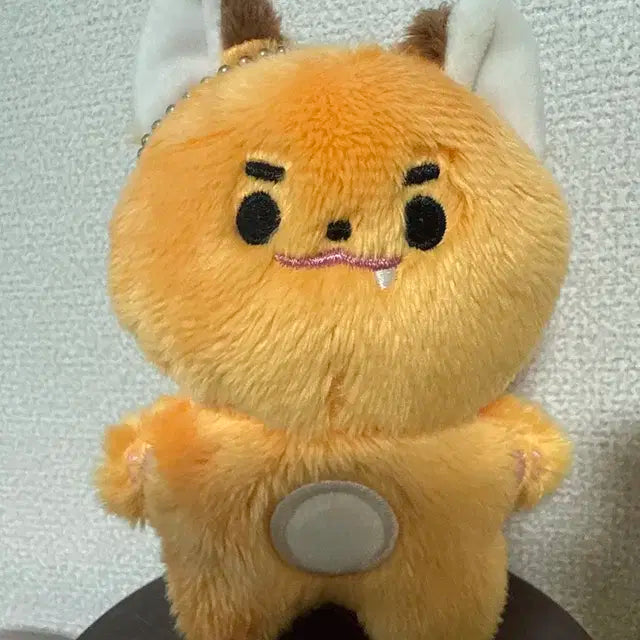 쭌콩이 팝니다