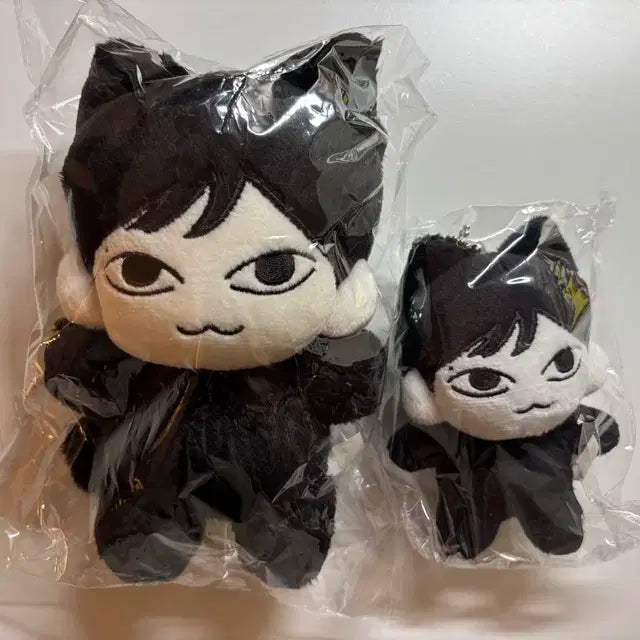 더보이즈 주연 마물쭈 미개봉 일괄 양도 15cm 10cm