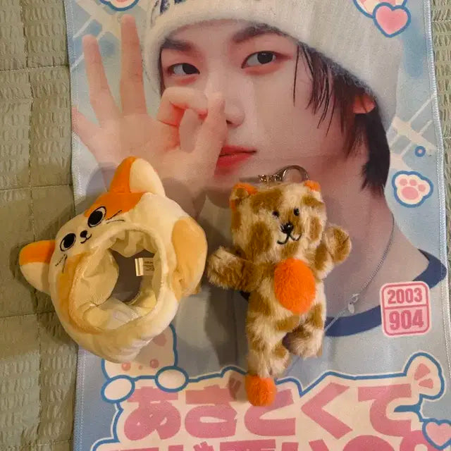 보넥도 캣삐 성호 박성호 쁘넥도 슬로건 성호인형