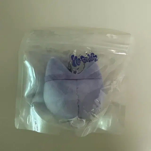 보넥도 쁘넥도 한탯풍 명명이