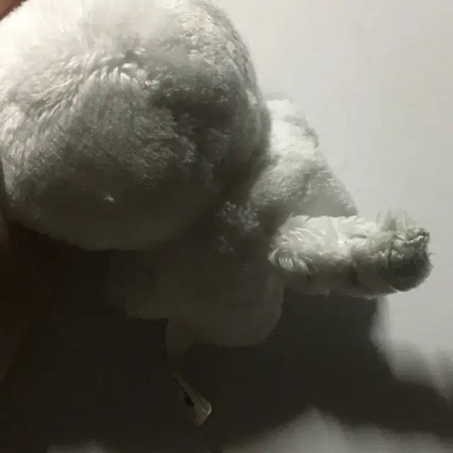 박건욱 인형(건뽀)