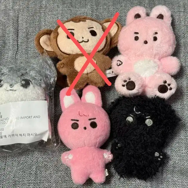 데이식스 굿즈 처분