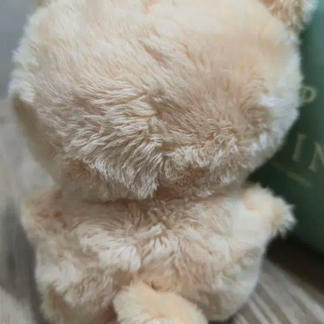 스트레이키즈 아이엔 비공굿 인형 양빵이