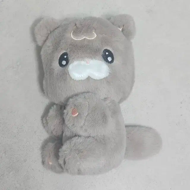 꼼타로 인형 팔아요! 라이즈 쇼타로