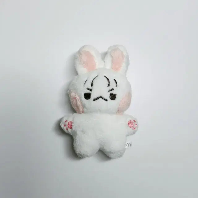 (택포/마지막가격내림)비투비 이창섭 10cm 인형 섭깽이 양도