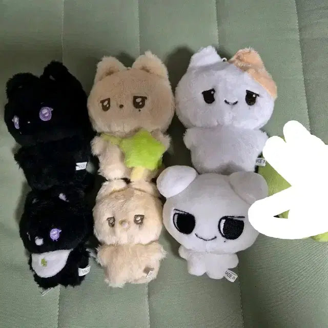 엔시티 위시 리쿠 유우시 왹쿠노 묘묘시 왹쿠노 양도