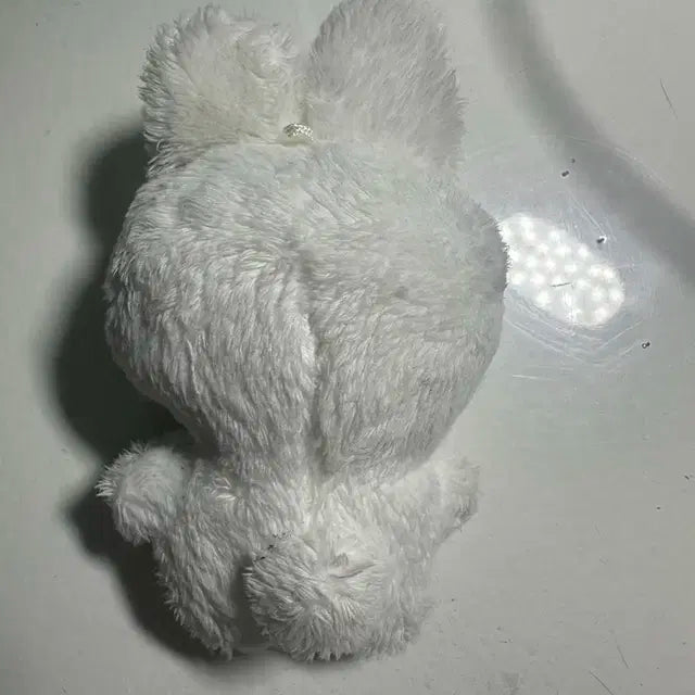 도영 하또 10cm 판매