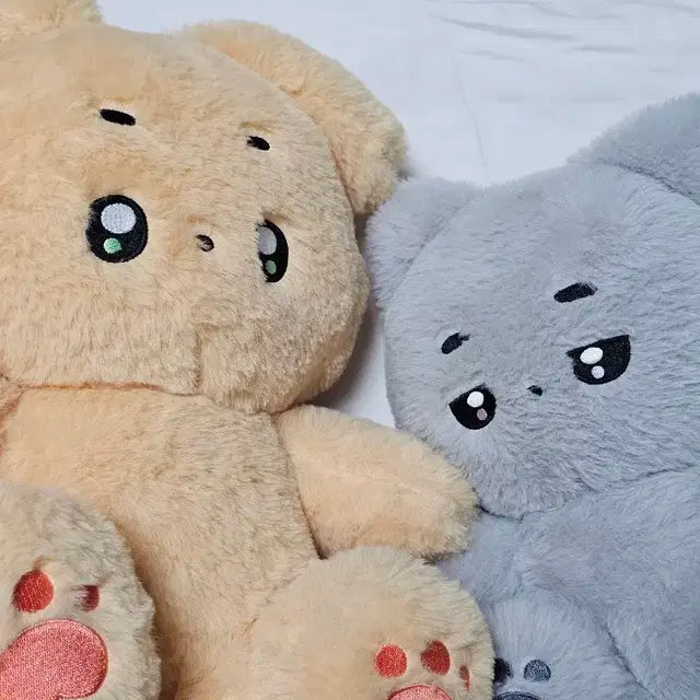 거대 솸댕째냥