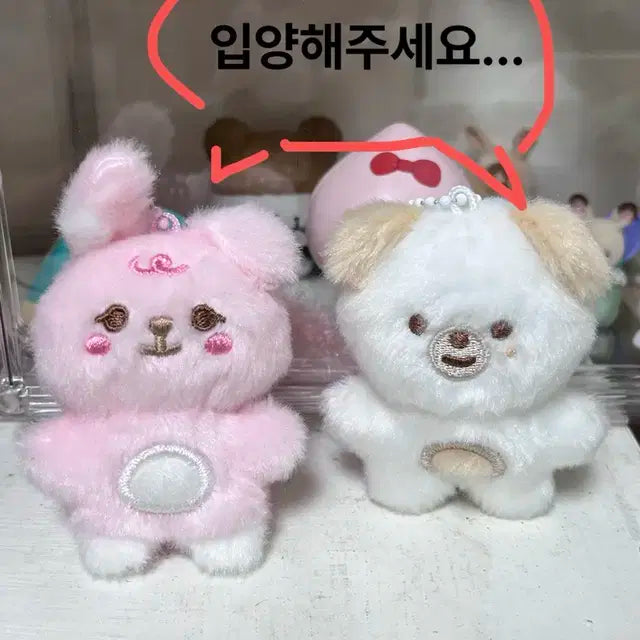 쁘쁘멀 필, 돈 판매(택미포 각 2.2) 필X