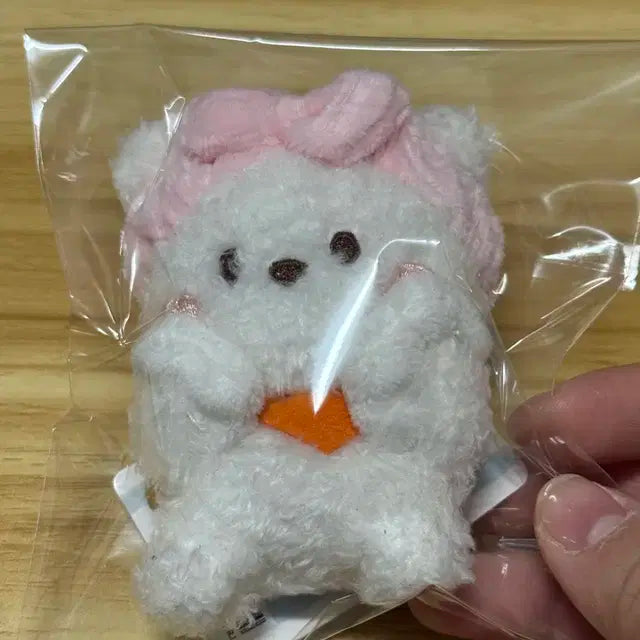 bt21 미니니 배쓰밤 알제이 인형