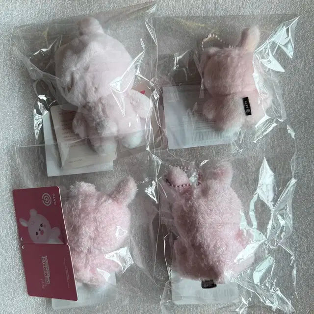 데이식스 데니멀즈 쁘띠멀즈 필 필끼 원필 일괄