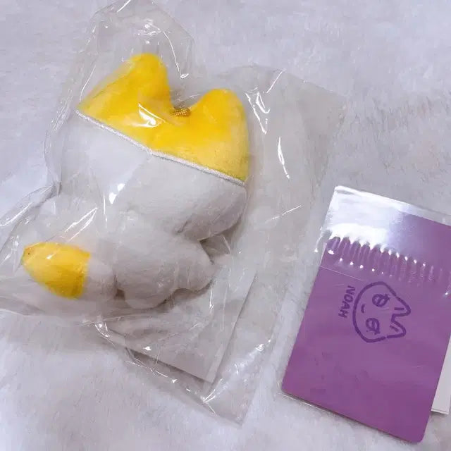 플레이브 짱레이브 노아
