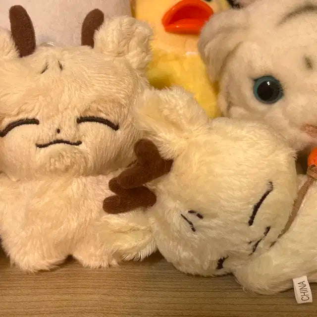 절미슈 눕슈 양도합니다