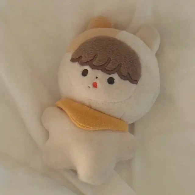 엔시티 지성 뽀송이 양도