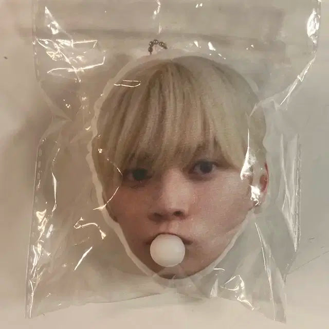 라이즈 은석 송은석 생카 풍선껌키링