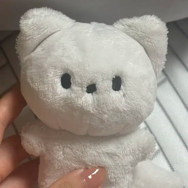엔시티 일이칠 127 정우 인형 북극쩡 양도