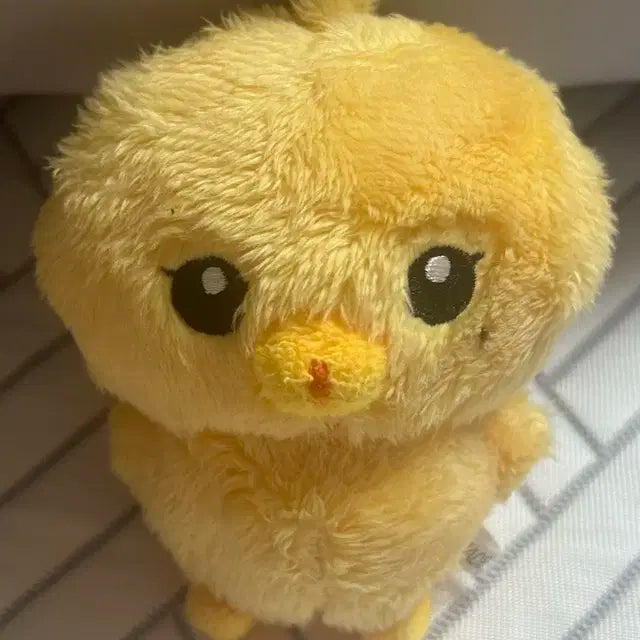 엔시티 일이칠 127 정우 인형 김댕궁 댕궁이 양도