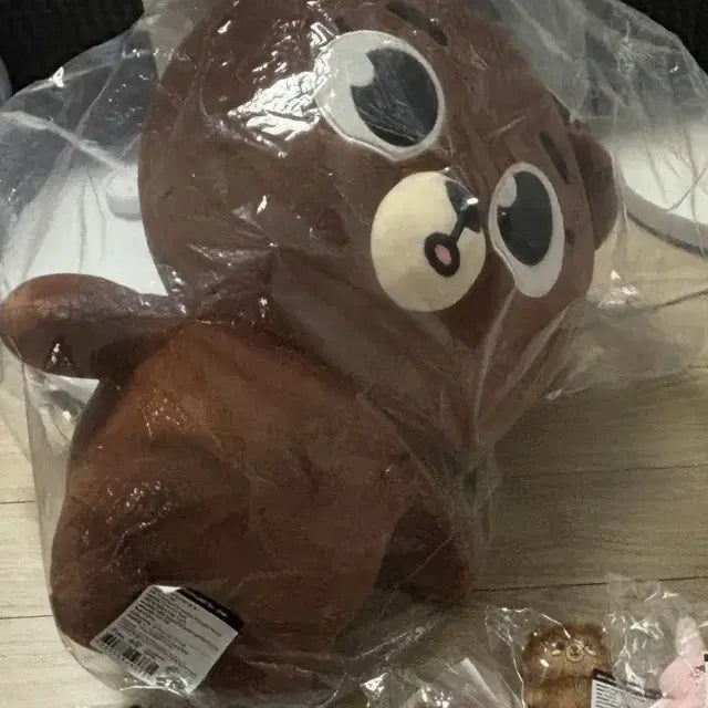 데이식스 자이언트 데니멀즈 방이 양도