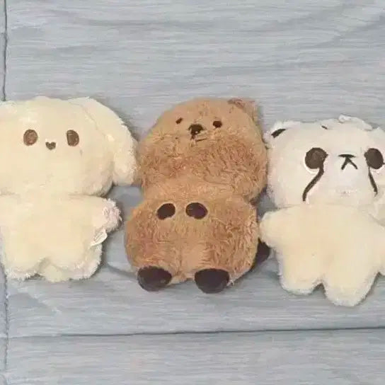 엔시티 127 인형 양도(쩡블리, 쩡카, 치타리)