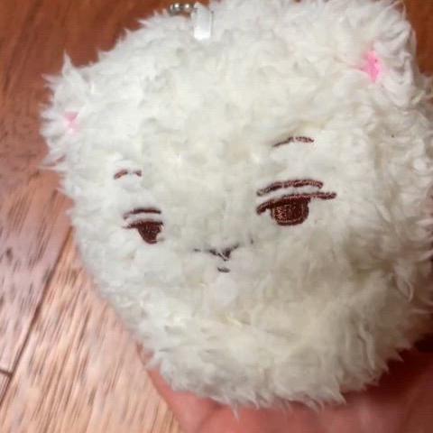 엑소 레이 장이씽 인형 키링