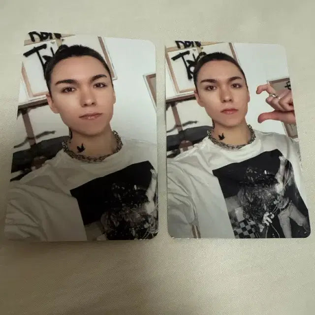 세븐틴 버논