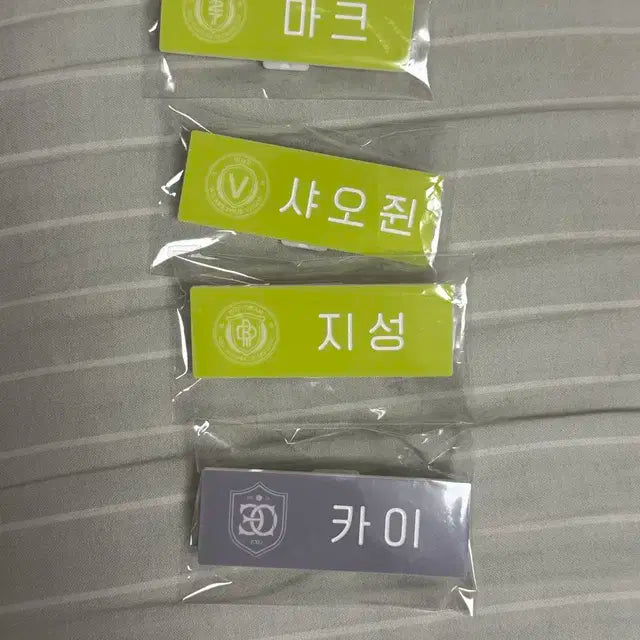 슴콘 sm타운 도쿄 네임뱃지 명찰 마크 샤오쥔 지성 카이