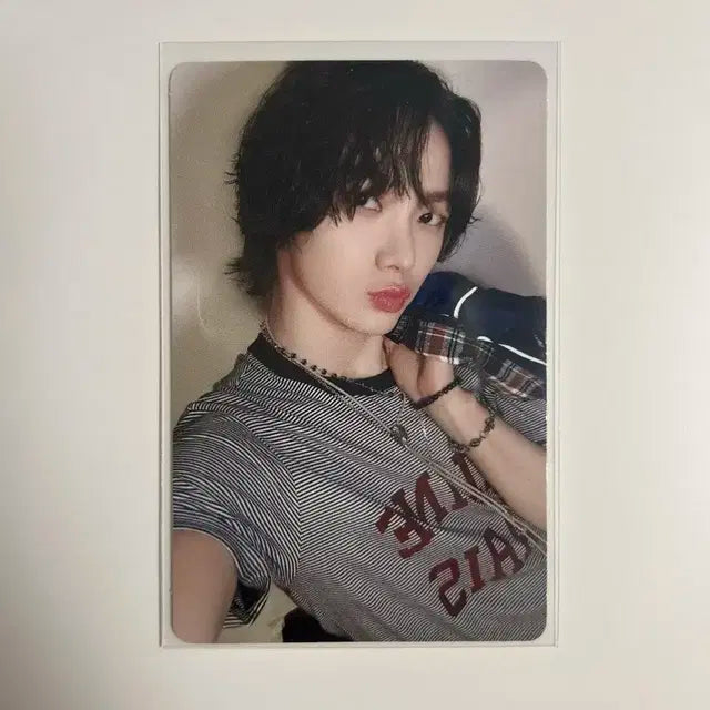 보넥도 19.99 성호 포카