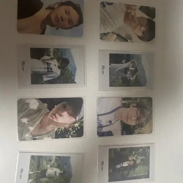 세븐틴 포카