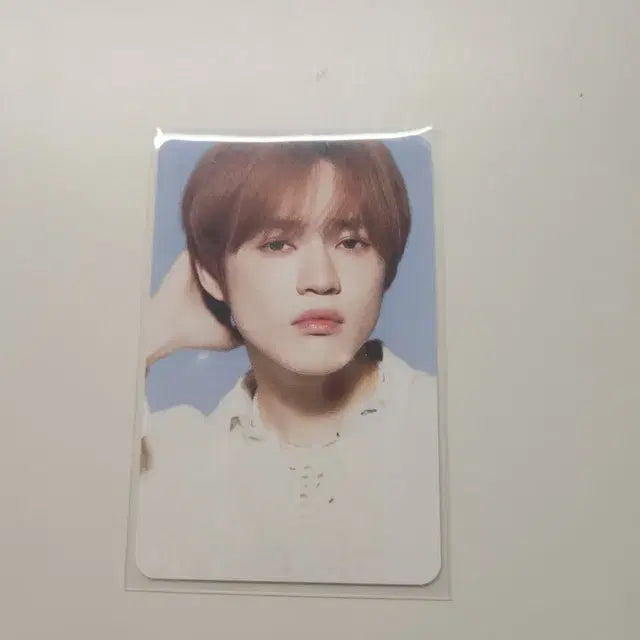 엔시티드림 천러 포카 양도