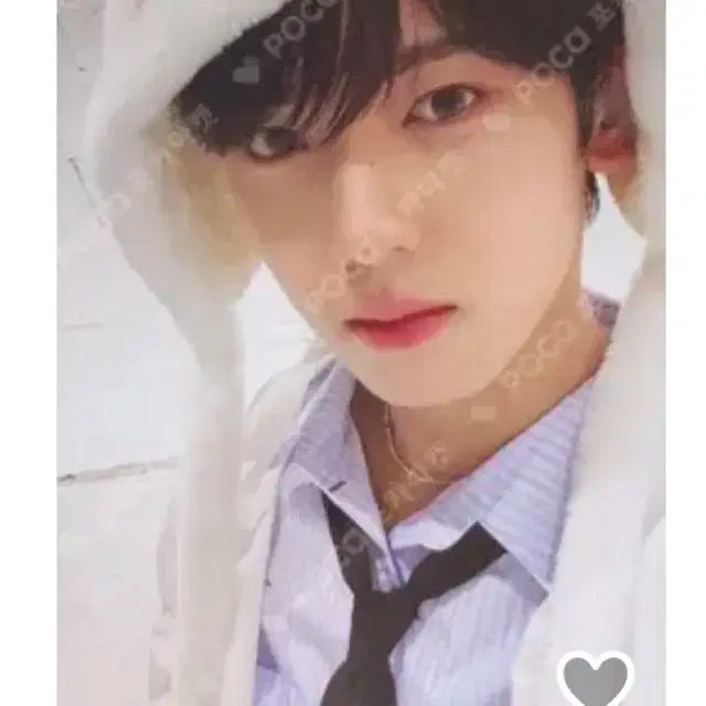 제로베이스원 한유진 미공포 일괄 개별 양도