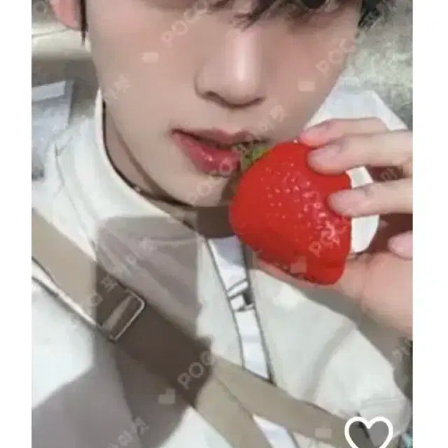 제로베이스원 한유진 미공포 일괄 개별 양도
