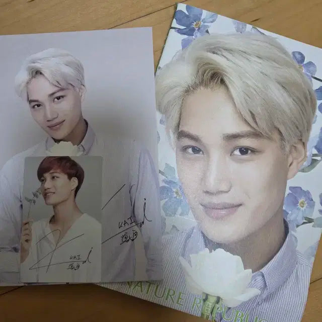 카이 네이처리퍼블릭 노트 포카 엽서 부채