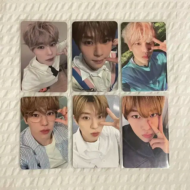 엔시티 위시 시온 포카 뮤직코리아 헬로라이브 송버드 스오위